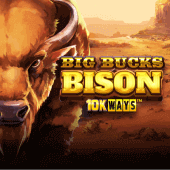 Bisonte de Grandes Fortunas 10K Ways